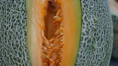 瓜哥吃瓜送金币